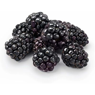 Graines de Mûre Sauvage - Reproductibles, Résistantes, Fruits d'Été - Publicité Graines de Mûre Sauvage - Reproductibles, Résistantes, Fruits d'Été - Publicité