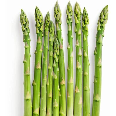 SEMISAUVAGE PERMACULTURE 50 Semences d'Asperges Vertes - Permaculture SemiSalvage - Publicité SEMISAUVAGE PERMACULTURE 50 Semences d'Asperges Vertes - Permaculture SemiSalvage - Publicité