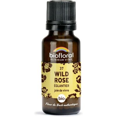 Biofloral 37 Wild Rose - Nahrungsergänzungsmittel Biofloral 37 Wild Rose - Nahrungsergänzungsmittel