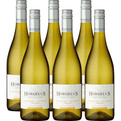 Horgelus Domaine Blanc Colombard-Sauvignon - Wein Horgelus Domaine Blanc Colombard-Sauvignon - Wein