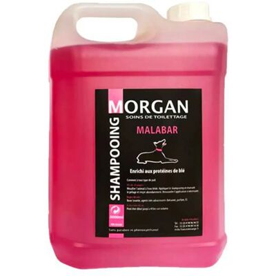 Morgan - Malabar - 5 L - Protéiné - Shampoing - Publicité Morgan - Malabar - 5 L - Protéiné - Shampoing - Publicité