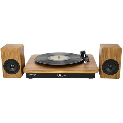 Halterrego Broadway Platine Vinyle - Turntable - Publicité Halterrego Broadway Platine Vinyle - Turntable - Publicité
