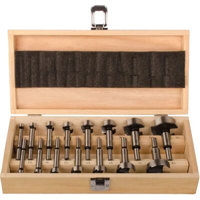 Set di punte Forstner Projahn 33002-1 - 15 pezzi, 10-50 mm Set di punte Forstner Projahn 33002-1 - 15 pezzi, 10-50 mm