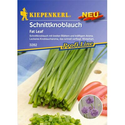 Kiepenkerl - Fat Leaf Allium tuberosum - Schnittknoblauch - Plant Kiepenkerl - Fat Leaf Allium tuberosum - Schnittknoblauch - Plant
