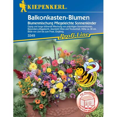 Kiepenkerl Balkonkasten-Blumenmix - Pflegeleichte Sonnenkinder Kiepenkerl Balkonkasten-Blumenmix - Pflegeleichte Sonnenkinder