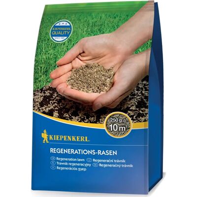 Mélange de régénération de pelouse Kiepenkerl 250 - Réparation & Germination rapide - Publicité Mélange de régénération de pelouse Kiepenkerl 250 - Réparation & Germination rapide - Publicité