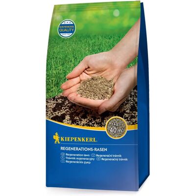 Kiepenkerl Regenerationsrasensamen 1 kg für 40 m² Kiepenkerl Regenerationsrasensamen 1 kg für 40 m²