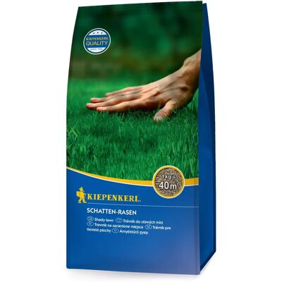 Kiepenkerl - Seed Speciale Erba Ombreggiato Zona 1 Kg - Rasen Samen Kiepenkerl - Seed Speciale Erba Ombreggiato Zona 1 Kg - Rasen Samen
