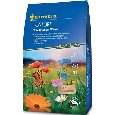 Kiepenkerl Prairie de Fleurs Sauvages - Mélange de Graines Multicolores - Publicité Kiepenkerl Prairie de Fleurs Sauvages - Mélange de Graines Multicolores - Publicité
