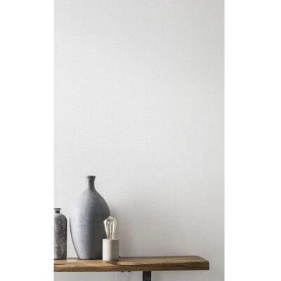 Rasch Revêtement Mur Blanc - 127607 Papier Peint - Uni / Couleur Unie - 0.53x10.05m - Publicité Rasch Revêtement Mur Blanc - 127607 Papier Peint - Uni / Couleur Unie - 0.53x10.05m - Publicité