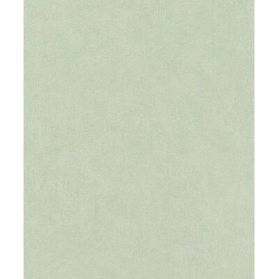 Carta da Parati Verde Rasch 415377 - Colore Unico Carta da Parati Verde Rasch 415377 - Colore Unico