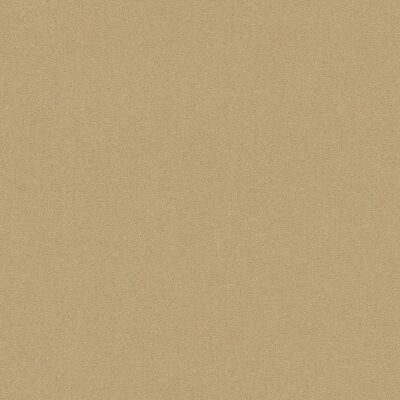 Freundin III Vinyltapete - Wandbelag 0,53m x 10,05m Freundin III Vinyltapete - Wandbelag 0,53m x 10,05m