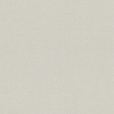 Rasch Wall Textures Vol. IV 452013 Tapeta - Szara Rasch Wall Textures Vol. IV 452013 Tapeta - Szara