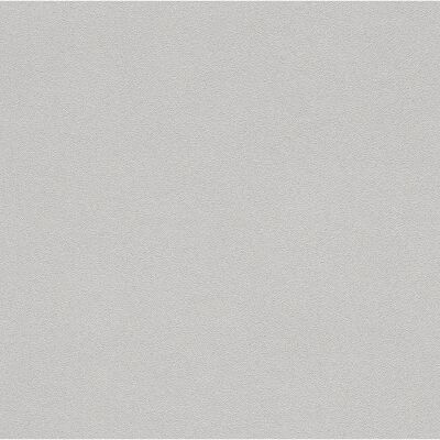 Rasch Wall Textures 2020 Vol. IV Carta da Parati Vinilica Grigia - Texture Murale Rasch Wall Textures 2020 Vol. IV Carta da Parati Vinilica Grigia - Texture Murale
