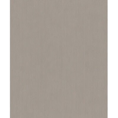 Papel pintado gris RASCH Concrete - Revestimiento de paredes Papel pintado gris RASCH Concrete - Revestimiento de paredes