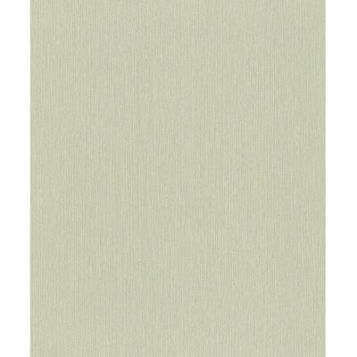 Groene Behang Rasch 0,53x10,05m - Wandbekleding Groene Behang Rasch 0,53x10,05m - Wandbekleding