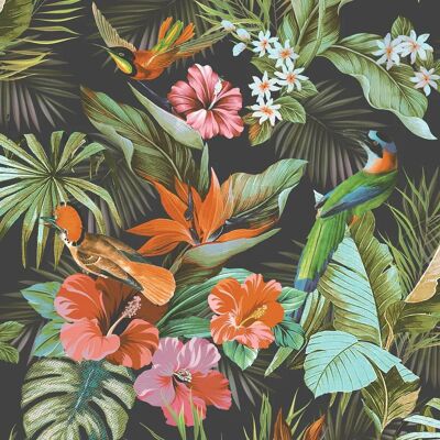 Rasch Vasari Paradise Birds Black Wallpaper - Wallpaper Rasch Vasari Paradise Birds Black Wallpaper - Wallpaper
