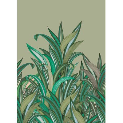 Tapeta botaniczna i dżunglowa Rasch 5,6 m² Tapeta botaniczna i dżunglowa Rasch 5,6 m²