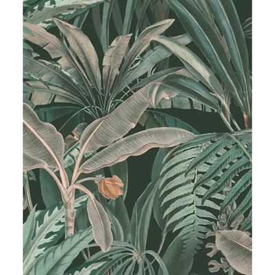 Rasch Papel Pintado Jardín Botánico y Jungla Rasch Papel Pintado Jardín Botánico y Jungla