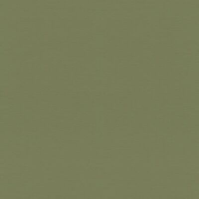 Rasch Model 687538 Groene Vlies Behang - Muurbekleding Rasch Model 687538 Groene Vlies Behang - Muurbekleding