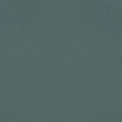 Rasch Rhapsody 690750 Vinylbehang - Effen, Naadloos - 10.05x0.53m Rasch Rhapsody 690750 Vinylbehang - Effen, Naadloos - 10.05x0.53m