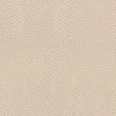 Papel pintado vinílico beige African Queen III - Decoración de pared Papel pintado vinílico beige African Queen III - Decoración de pared