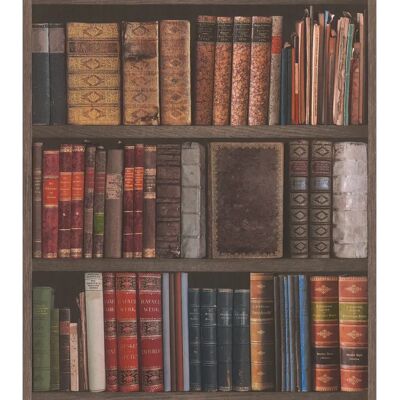 Rasch Brown Vintage Book Shelf Wallpaper - Bookcase Wall Decor Rasch Brown Vintage Book Shelf Wallpaper - Bookcase Wall Decor