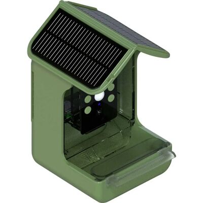 Braun Bird Cam 130 Solar Wildkamera - Bird Watching Braun Bird Cam 130 Solar Wildkamera - Bird Watching