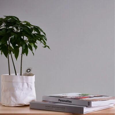 Carta da parati Landhaus A.S. CREATION - 0,53m x 10,05m - Grigio Chiaro Carta da parati Landhaus A.S. CREATION - 0,53m x 10,05m - Grigio Chiaro