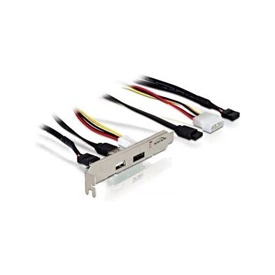DeLOCK eSATAp + USB 2.0 Schnittstellenkarte - Mehrfarbig DeLOCK eSATAp + USB 2.0 Schnittstellenkarte - Mehrfarbig