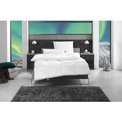 f.a.n. Island Daunendecke - Warm, 155x220cm, Weiß f.a.n. Island Daunendecke - Warm, 155x220cm, Weiß