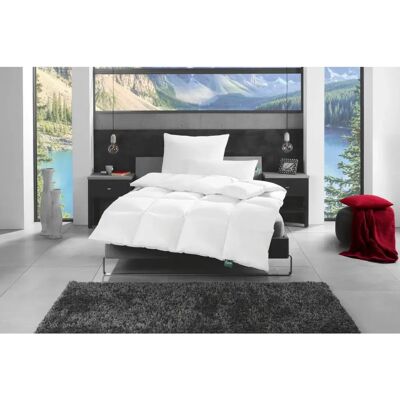 FAN Canada 40x80cm Daunenfeder Kopfkissen - Kopfkissen FAN Canada 40x80cm Daunenfeder Kopfkissen - Kopfkissen