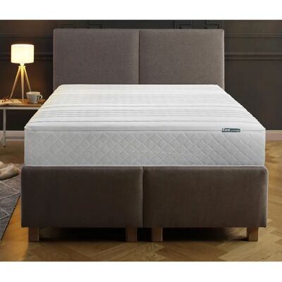 F.A.N. ProVita Relax 1.000 T - Taschenfederkernmatratze - 7 Zonen - 30cm Höhe F.A.N. ProVita Relax 1.000 T - Taschenfederkernmatratze - 7 Zonen - 30cm Höhe