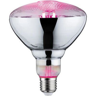 Paulmann Grow Green LED bombilla - Luz de crecimiento para plantas Paulmann Grow Green LED bombilla - Luz de crecimiento para plantas