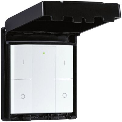 Interrupteur extérieur Zigbee Paulmann 50137 - IP44, Pile - Publicité Interrupteur extérieur Zigbee Paulmann 50137 - IP44, Pile - Publicité