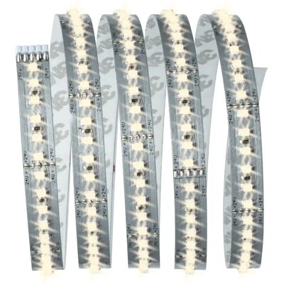 Paulmann Tira LED Blanco Cálido - Luz de tira LED Paulmann Tira LED Blanco Cálido - Luz de tira LED