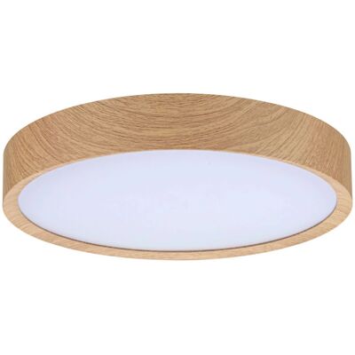 Paulmann Tega lampa sufitowa - 24W, IP44, White Switch Paulmann Tega lampa sufitowa - 24W, IP44, White Switch