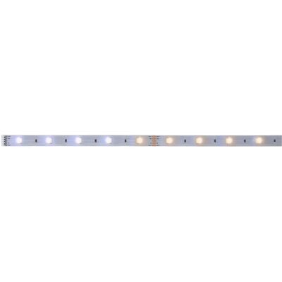 Paulmann MaxLED 250 Biały Tunable White Taśma LED 1m Paulmann MaxLED 250 Biały Tunable White Taśma LED 1m