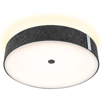 Paulmann Malika Smart Home Zigbee 3.0 LED Deckenleuchte - Tunable White Paulmann Malika Smart Home Zigbee 3.0 LED Deckenleuchte - Tunable White