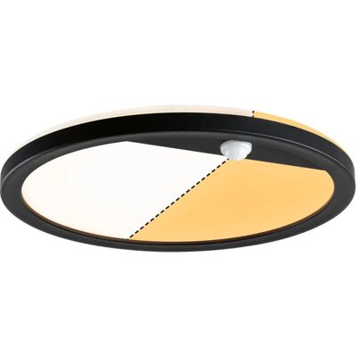 Paulmann Ceiling & Wall Light - Insect-Friendly 16W LED Black Paulmann Ceiling & Wall Light - Insect-Friendly 16W LED Black