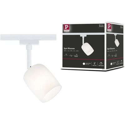 Paulmann URail Spot Blossom - G9 Dimmbar Metall Glas 10W Paulmann URail Spot Blossom - G9 Dimmbar Metall Glas 10W