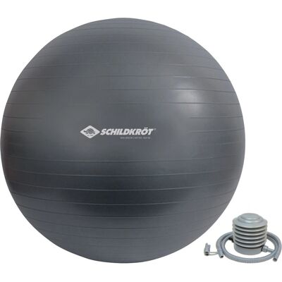 Schildkröt Fitness 960158 ballon d'exercice - Ballon de fitness Schildkröt Fitness 960158 ballon d'exercice - Ballon de fitness