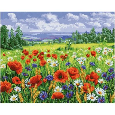 Schipper Malen nach Zahlen Kit - Blumenwiese - Malbuch Schipper Malen nach Zahlen Kit - Blumenwiese - Malbuch