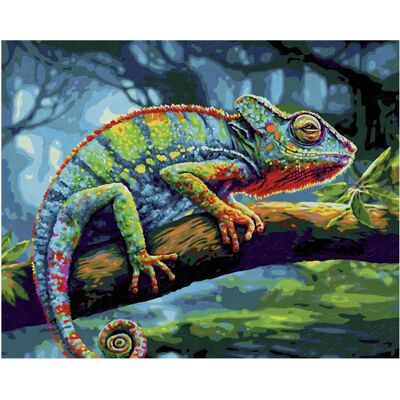 Schipper Modèle - Kit de Coloration par Numéros - Livre à Colorier Schipper Modèle - Kit de Coloration par Numéros - Livre à Colorier