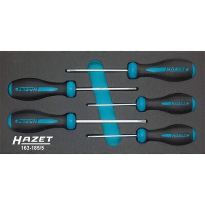 Hazet 163-185/5 Manipulationssicher Torx Schrauberset Hazet 163-185/5 Manipulationssicher Torx Schrauberset