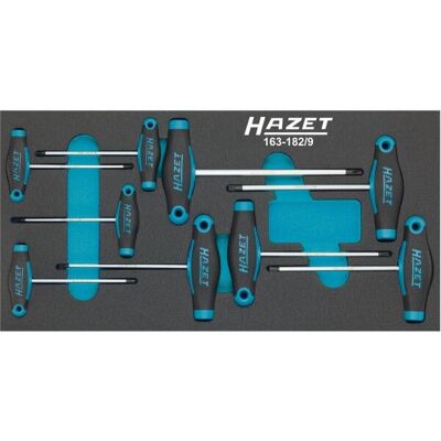 Hazet 163-182/9 Schraubendreher-Set T6-T30 Hazet 163-182/9 Schraubendreher-Set T6-T30