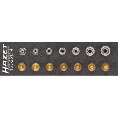 Hazet 163-251/14 Verktygsset med TORX bits - Specialset Hazet 163-251/14 Verktygsset med TORX bits - Specialset