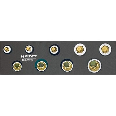 Zestaw narzędzi Hazet 163-252/9 - Torx, Kwadrat 3/8" - Warsztat Zestaw narzędzi Hazet 163-252/9 - Torx, Kwadrat 3/8" - Warsztat