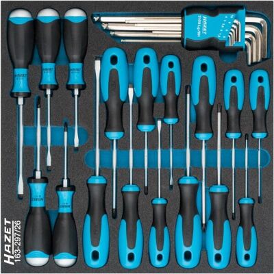 Ensemble de tournevis Hazet 163-297/26 - Phillips, plat, hexagon, Torx - Kit d'outils - Publicité Ensemble de tournevis Hazet 163-297/26 - Phillips, plat, hexagon, Torx - Kit d'outils - Publicité
