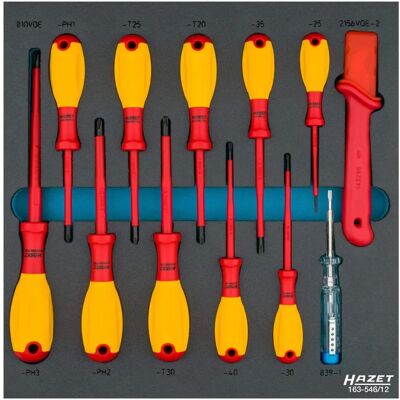 Hazet 163-546/12 Isoliertes Schraubenzieher-Set - Phillips, Torx, Schlitz - 12 Stück Hazet 163-546/12 Isoliertes Schraubenzieher-Set - Phillips, Torx, Schlitz - 12 Stück
